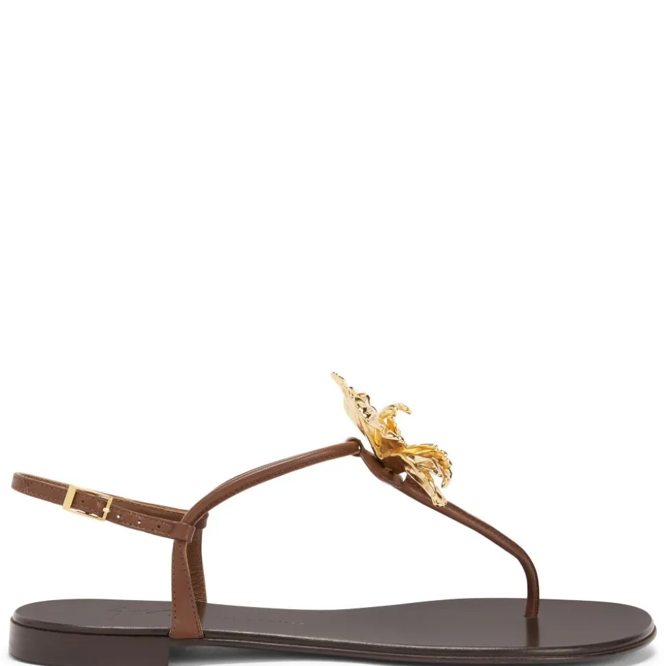 ORCHID FLAT