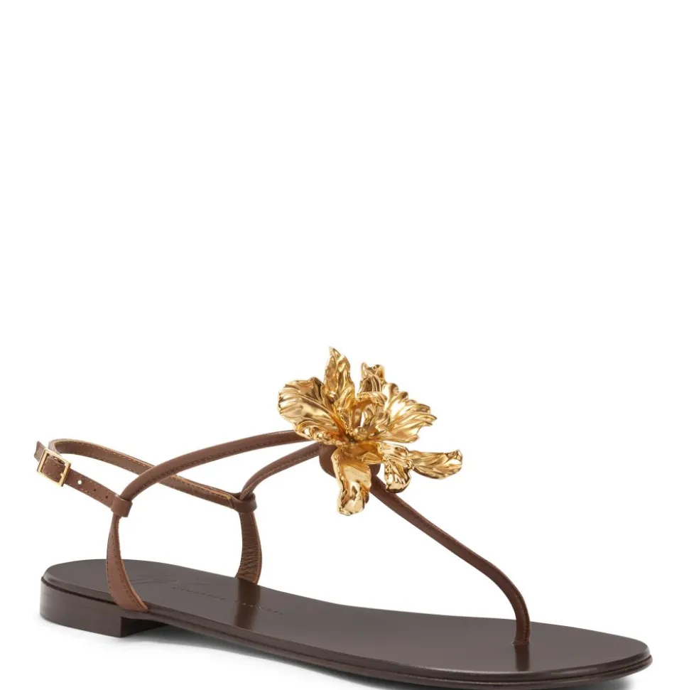 ORCHID FLAT