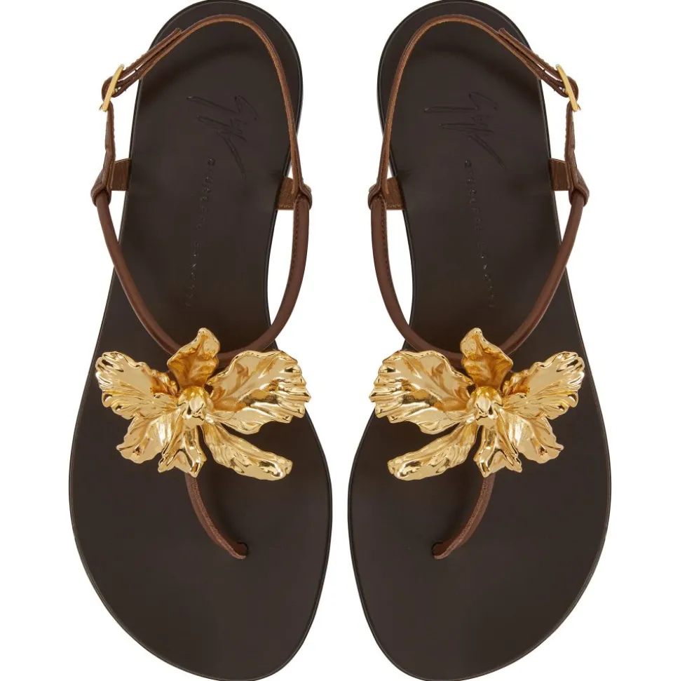 ORCHID FLAT