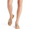 SPIPIOTT